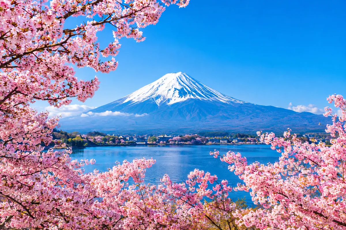 Mount Fuji with cherry blossoms